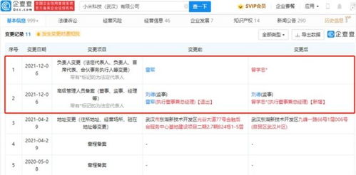 雷軍卸任小米科技武漢高管職務，聚焦戰略布局與數據處理業務發展